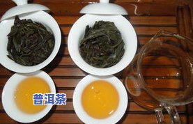 普洱茶嫩-普洱茶嫩叶好还是老叶好