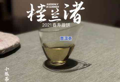 生普洱茶饼：泡着喝还是煮着喝？正确冲泡方法让你品尝更好的口感！