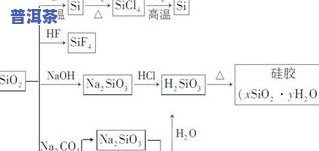 现代茶叶制作工艺：从传统到现代的转变与流程解析