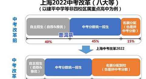 深度解析：提问普洱茶的疑问与答案