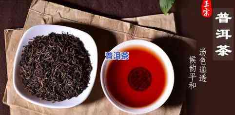 提供普洱茶-提供普洱茶官网