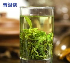 普洱茶生普是绿茶科吗-生普洱茶属于绿茶吗