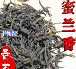 凤凰单枞密兰香茶叶-凤凰单枞蜜兰香介绍