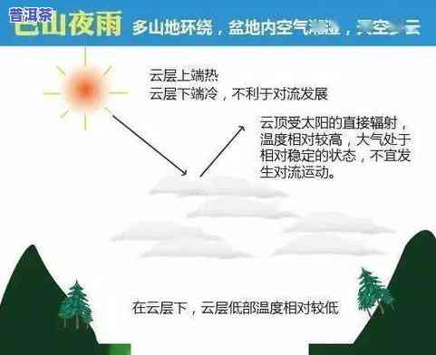 返璞归真的自然：从现象到观念，再到人与自然的关系