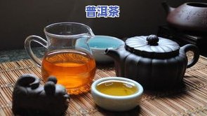 普洱茶常见品种图片全览：名称、价格与特点一网打尽