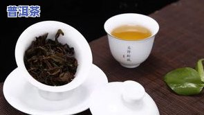 普洱茶主要品种及名称大全，附带精美图片