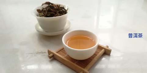 普洱茶怎么醒茶？详细步骤与技巧分享！