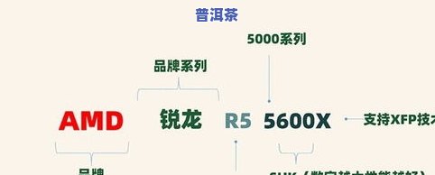 全面掌握普洱茶初级入门知识：从基础到深入解析