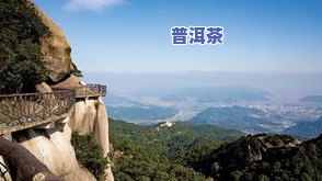 2019白露茶：稀世白太姥山价格与历年份比较