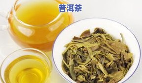 全面了解普洱茶：问普洱茶的问题有哪些？