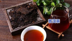 自然生态好普洱茶价格表-生态普洱茶叶价格