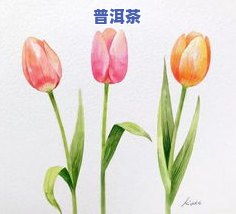 泡出来是蓝色的茶水：究竟是什么茶叶或花朵？附图片及详细解释