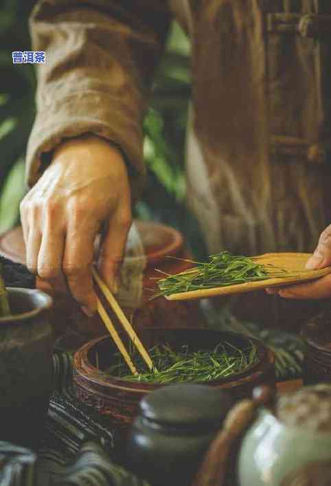 恩平普洱茶-恩施普洱茶