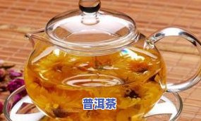 普洱茶加菊花茶对人体有害的影响及功效