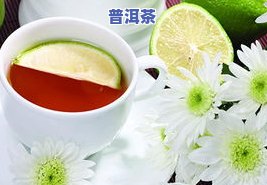 寒性体质能喝普洱茶吗？女性、男生都适用，详解体寒人是不是适合饮用