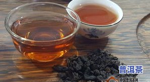 普洱茶：怎样辨别真伪、优劣、是不是变质及生熟茶？