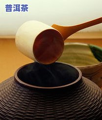 十二生肖茶价格表：茶叶、茶具及茶砖全面解析