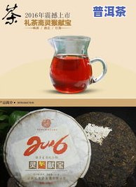 十二生肖珍藏版茶叶-十二生肖珍藏版茶叶图片