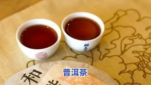 云南聚友易武普洱茶饼-云南普洱聚友易武古茶厂多少钱