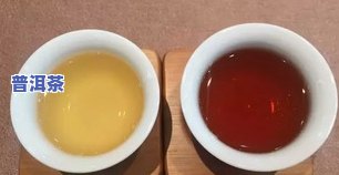 一饼江山普洱茶-一饼江山普洱茶价格