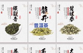 怡然自得茶叶价格表：详细图片与价格一览