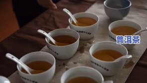 两款普洱茶对比-两款普洱茶对比图