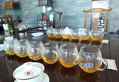 两款普洱茶对比-两款普洱茶对比图