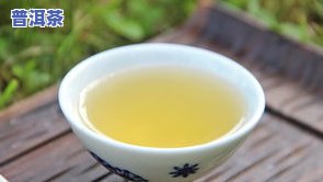 两款普洱茶对比-两款普洱茶对比图