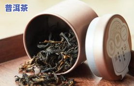 金色针尖一样的茶叶是什么？品种、全解析