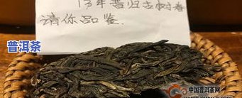 普洱冰岛茶的产地在哪里？详解普洱冰岛茶的原产地及其品种特性