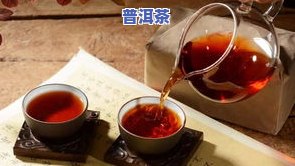 冬冬普洱茶-普洱茶冬茶