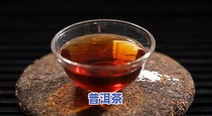 冬冬普洱茶-普洱茶冬茶