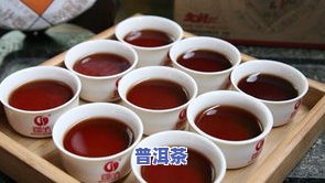 冬冬普洱茶-普洱茶冬茶