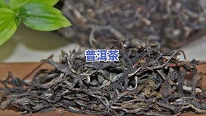 普洱茶地毯-普洱茶台地茶