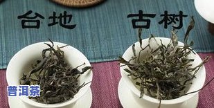 普洱茶地毯-普洱茶台地茶