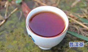 粗茶指哪种茶？详解粗茶的含义与分类