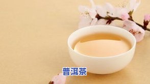 遵化普洱茶-遵化品茶