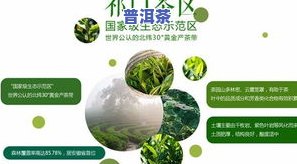 100元以下的茶叶推荐：哪些的茶叶性价比高？