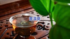 粗茶指哪种茶？详解粗茶的含义与分类