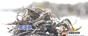 购买过的普洱茶能放多久？存储方法与保质期解析