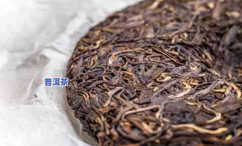 普洱茶：怎样辨别真伪、优劣、是不是变质及生熟？