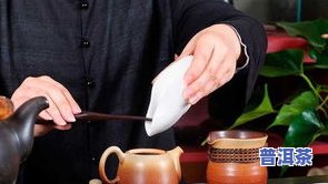 喝茶每次放多少茶叶好？影响口感的关键因素解析