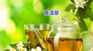 普洱茶里有单宁酸吗？能喝吗？女生也适用，单宁的作用是什么？