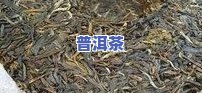 云南普洱大益茶：2006七子饼、2020熟茶，以及山庄产品