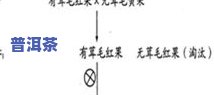 探究普洱茶中的单宁：成分、图片与含量分析