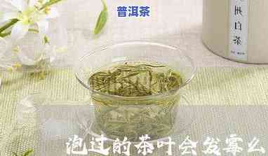 普洱茶小份推荐-小普洱茶推荐