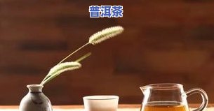 隽永普洱茶-普洱隽美商贸