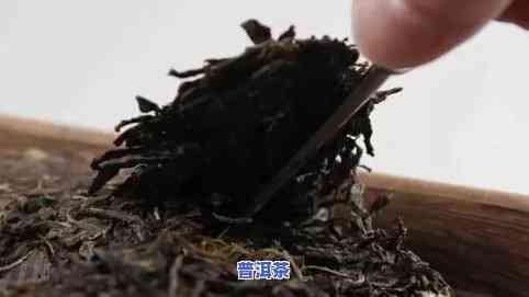 冰岛古树纯料普洱茶：熟茶与生茶的口感比较