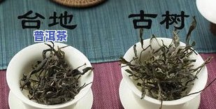 冰岛古树纯料普洱茶：熟茶与生茶的口感比较