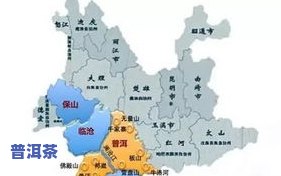 普洱茶四大产区与茶山：关系、区别及特点分析